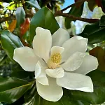 게스트하우스 Maison De Famille Cosy Et Piscine Privee - Calme, Nature, Lot & Voie Verte Ledat