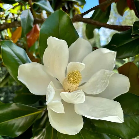Konukevi Maison De Famille De Charme, 4 Ou 6 Pers, Piscine Privee, Vallee Du Lot & Bastides Ledat